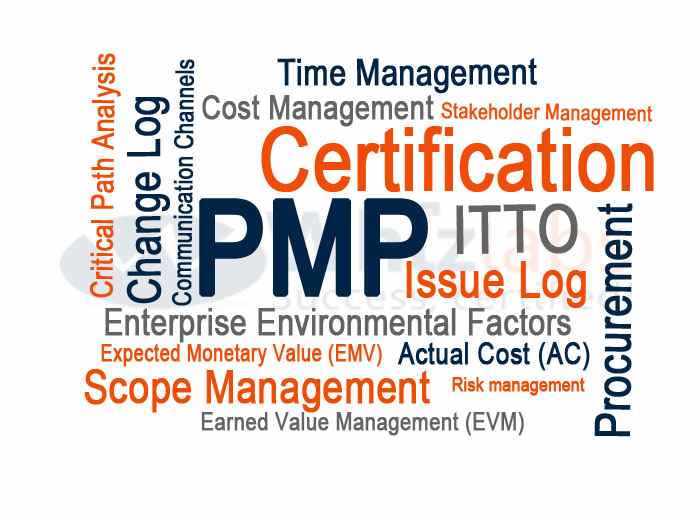 certification in project management-MyLearningCube